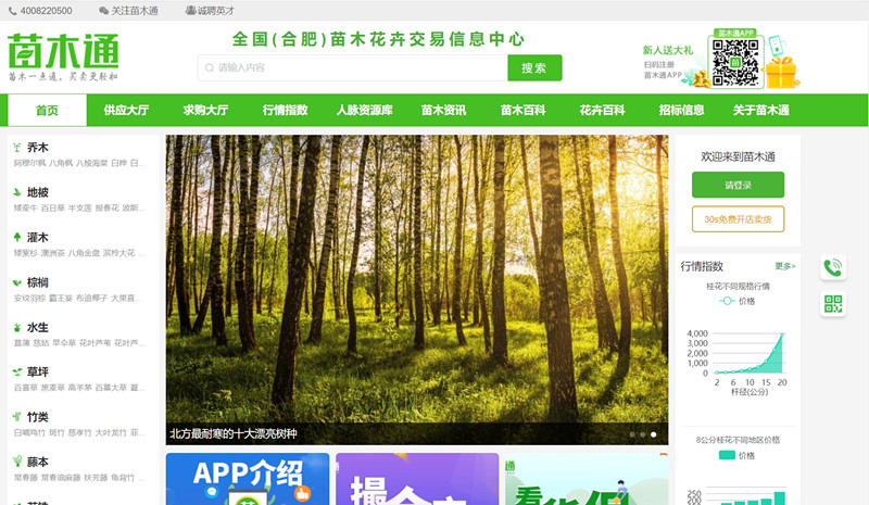 苗木通