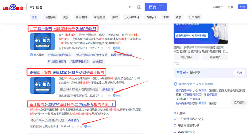百度审计报告搜索结果